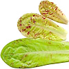 Lettuce Freckle Bunte 